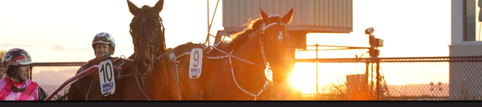 horse racing banner